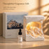liaSore Set Aromatherapy Gift with Mountain Night Light, Essential Oil Fragrance Decor Lamp for Bedroom Desk Living