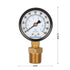 Measureman 2" Well Pump Pressure Gauge, 0-100psi/bar, 1/4" NPT Male with 1/2" NPT Adaptor