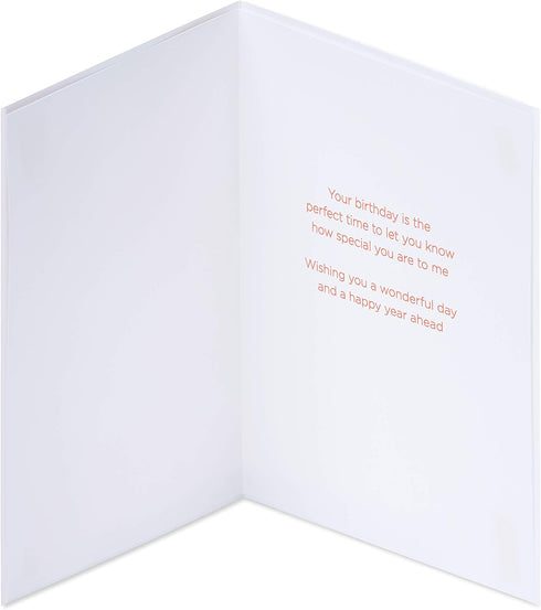 Papyrus Birthday Card - How Special You Are