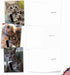 The Best Card Company 10 Assorted Thank You Notecards Bulk Box Set (4 x 5.12 Inch, 10 Designs, 1 Each) Cats Selfie
