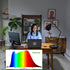 Dubofu LED Light Bulbs, Dimmable Full Spectrum 5000K Natural Light Sunlight Bulb, Boosts Mood & Energy, 11W Equivalent 100W, A19 E26, 3 Pack by Dubofu