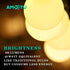 AMDTU E26 Globe Light Bulbs, Frosted G16.5, 60 watt, 600lm, 2700k Soft White, 6 Pack