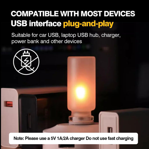 TWOHORSER Bulb,Flame Vehicle,Bedroom,Hallway,Camping,2-pack Portable USB Night Light Effect Lamp with Remote Control