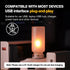 TWOHORSER Bulb,Flame Vehicle,Bedroom,Hallway,Camping,2-pack Portable USB Night Light Effect Lamp with Remote Control