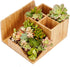 MobileVision Bamboo Multi-Function Desktop Organizer - Store Notepads, Folders, Paperclips, Business Cards & More
