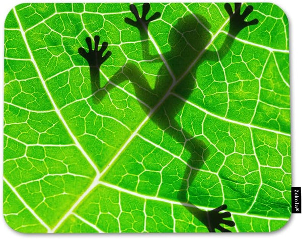 Beabes Frog Square Mousepads for Desktop Notebook, Animal Tree Frog Shadow on Green Leaf Mouse Pads 9.5X7.9 Inch