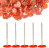 100 Pack - 3 Inch Round Plastic Cap Nail Roofing Nails, Galvanized Tar Paper Nails for House Wrap Fastening