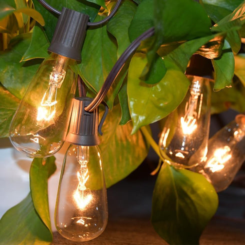 10-Pack Bulbs, 7-watt E17 ST40 Bulbs Bulb SUNSGNE Edison Light Screw Base Replacement Clear Glass Incandescent Light