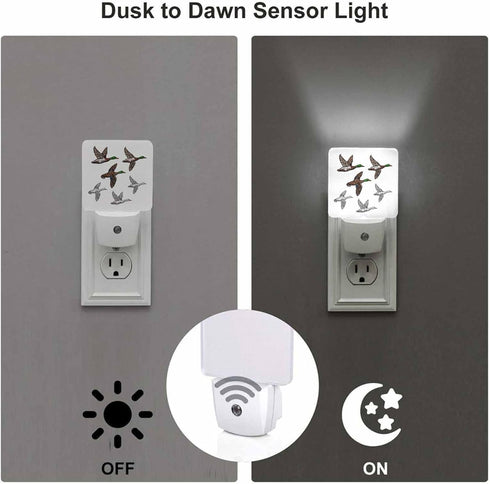 Chrobak LED Night Light Plug into Wall with Dusk to Dawn Light Sensor White Energy Efficient Duck Mallard Wild Bird