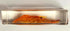 4.3" Large Real Shrimp Oriental Freshwater River Prawn in Crystal Clear Lucite Resin Specimen Preserved Macrobrachium