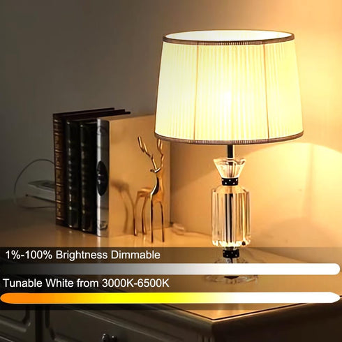 E26 12W Bulb 2.4GHz Bulb,Stepless Dimmable 3000-6500K,100W Equivalent,A19 1000Lumens,CRI>80,Home Decor,1 Bulb GRV Smart