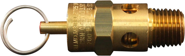 Milton S-1090-200 1/4" MNPT ASME Safety Valve, 200 PSI Pop off Pressure