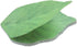 Leaf Sticky Note Pads, Anti-forgetting Reminder Note DIY Decoration, 50 Sheets/Pad, 8 Pads, 400 Pages Total