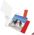 The Best Card Company Variety Pack of 12 Christmas Notecards with Envelopes, Humor Holiday Assortment for Men