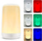 FRIDEKO HOME RGB Touch Bedside Lamp for Nightstand, 3 Color Temperatures Rechargeable