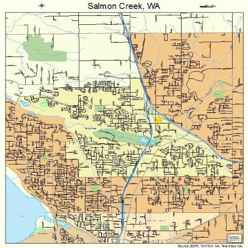 Large Street & Road Map of Salmon Creek, Washington WA - Printed