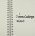 Yansanido 2 Pcs A6 College Ruled Clear Hardcover Spiral Notebooks, 5.7 Inch x 4.1 Inch, 160 Pages
