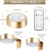 KELUOLY 4-Pack Dimmable Picture Light Battery Operated Painting Lights for Wall, Magnetic LED Display Art Light