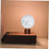 3d Plastic Lamp Cover Printed Moon Lamp Shade for Wall Floor and Table Lighting