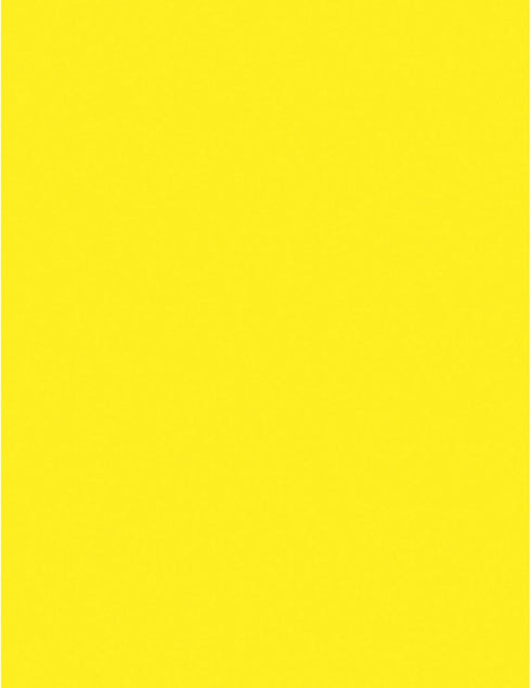 Pacon Corporation 104316 Neon Bond Paper, 24 lb, 100 Sheets, 8-1/2-Inch x11-Inch, Neon Yellow