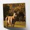 Maturi Stag Photographic Blank Birthday Greetings Card, 6" x 6" Square by Maturi