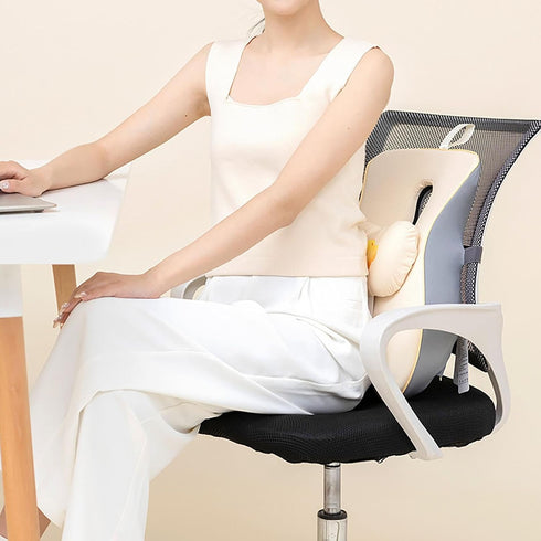 Mazulora Lumbraze Lumbar Support Cushion, Lumbraze Orthopedic Lumbar Seat Cushion for Chair, Office Chairs, Gaming