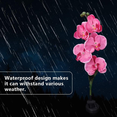 Yosoo Garden Solar Lights, Waterproof Moth Orchid Shape Light-Activated LED Pathway Light