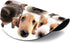 Round Mouse Pad with Dog Design, Customized Non-Slip Rubber Gaming Mouse Pad for Office Work