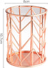Pen Holder for Desk, Make Up Brush Holder Rose Gold Metal Wire Pencil Cup Holders by HSYMQ
