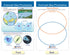 NewPath Learning Protists Bulletin Board Charts, Set of 8, Laminated, Double-Sided, Full-Color, 12" x 18" (94-7017)