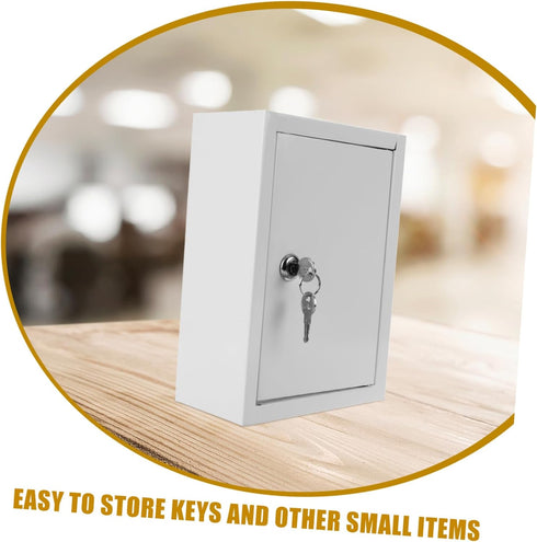 Package Package Homoyoyo Milk Box with Lock Wall Mounted Box for Outdoor Use Durable and Sturdy Design Multi Use