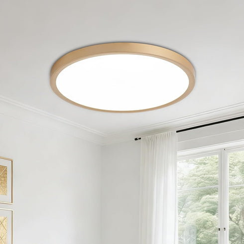LED Flush Mount Ceiling Light: 12 inch 1Pack Super Slim Dimmable &