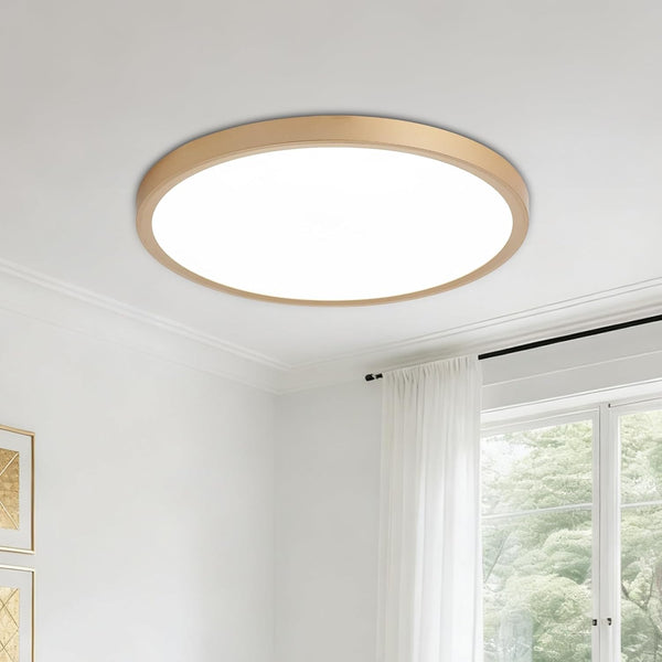 LED Flush Mount Ceiling Light: 12 inch 1Pack Super Slim Dimmable &