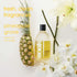 Soak Laundry Soap – No Rinse, Plant Derived Hand Wash Detergent, 375 ml / 12 fl. oz, 75+ Washes (Pineapple)