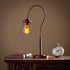 12-Pack Bulb 40W ST64 2200K E26 Dimmable Edison Light - Vintage Squirrel Cage Filament Amber Glass Incandescent Lamps