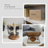 12 2-in-1 Glasses Stand for Pairs, Sunglasses Organizer Rack, Eyewear Display & Jewelry Tray Base for Entryway Vanity