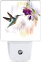 Groovy Hummingbird Flowers Dusk to Dawn Night Light, Auto Sensor Lamp Home