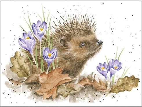 Wrendale Designs Greeting Card - NEW BEGINNINGS (Hedgehog)
