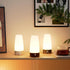 Daxng Retro LED Night Light PIR Motion Sensor Light,Activated Step Lighting Lamps,Indoor/Outdoor Battery Operated Lamp