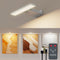 Picture Lights for Wall, 6000mAh Rechargeable Battery Wall Sconce with Remote &