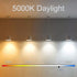 T10 LED Bulb, 5000K, 3.2 inches, E26 LED Bulb, 60 Watt Equivalent, Dimmable, T25 Tubular Light Bulb, Edison Bulbs, 6W,
