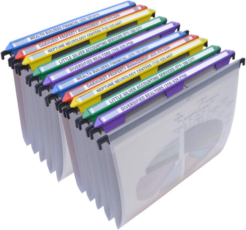 Ultimate Office MagniFile Hanging File Folders, V-Bottom Letter Size, Set of 10 Frost with Magnified Indexes