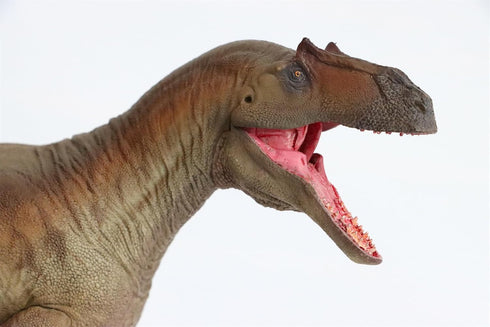75 Collector's PVC Model: Donald The Saurophaganax Dinosaur Figure