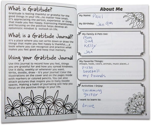 S&S Worldwide Teen Gratitude Journal Bulk Pack, 100 Pages, Daily Prompts, Inspiring Quotes, Ages 12-18, 6"x9", Pk 12
