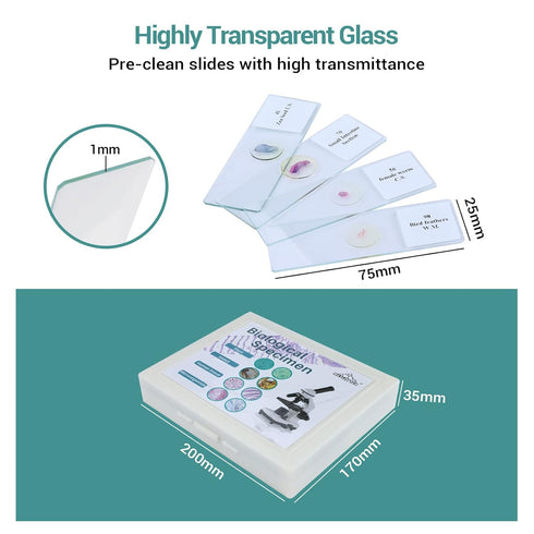 100 Microscope Slides with Specimens for Kids, Prepared Slides with Plants, Animals, Insects for Homeschool Use
