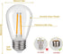 25Pack S14 LED Replacement Light Bulbs, Shatterproof Outdoor String Plastic Light Bulbs, 2W Equivalent 20W, E26 Base, 2200K Warm White LED Vintage Light Bulbs, Non-Dimmable by RuiAoTD