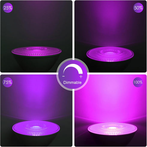 ENERGETIC Purple Par38 LED Flood Outdoor Light Bulb, 16W Dimmable, E26 Base for Holiday Lighting, 2 Pack