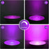ENERGETIC Purple Par38 LED Flood Outdoor Light Bulb, 16W Dimmable, E26 Base for Holiday Lighting, 2 Pack