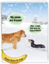NobleWorks Jumbo Christmas Greeting Card Funny (8.5 x 11 Inch) - My Paws are Frozen Pet Animal Humor Notecard