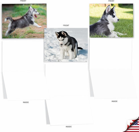 The Best Card Company - 10 Adorable Blank Dog Cards, Assorted Pet Breeds, Boxed Set - Alaskan Huskies AM6827OCB-B1x10